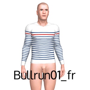 From Bullrun01_fr