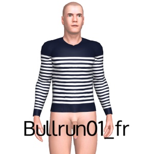 From Bullrun01_fr