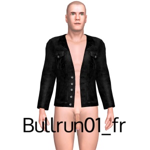 From Bullrun01_fr