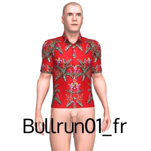 From Bullrun01_fr