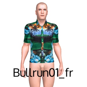 From Bullrun01_fr
