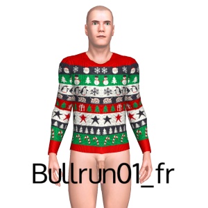 From Bullrun01_fr