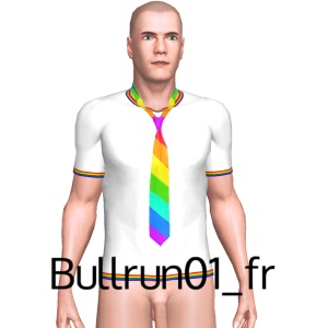 From Bullrun01_fr