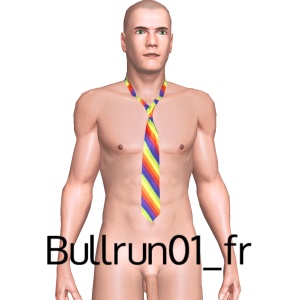 From Bullrun01_fr