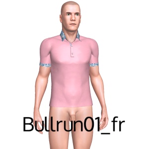 From Bullrun01_fr