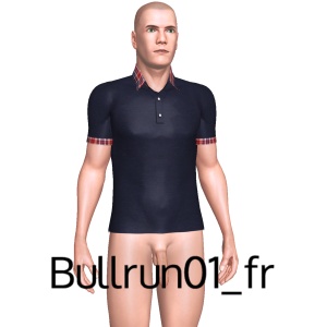 From Bullrun01_fr