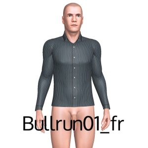 From Bullrun01_fr