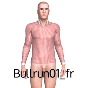 From Bullrun01_fr