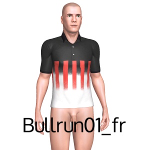 From Bullrun01_fr