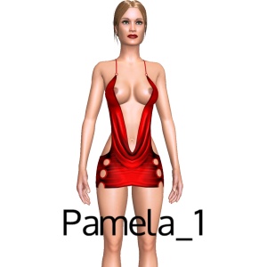 From Pamela_1