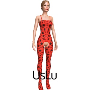 Bodystockings, From UsLu