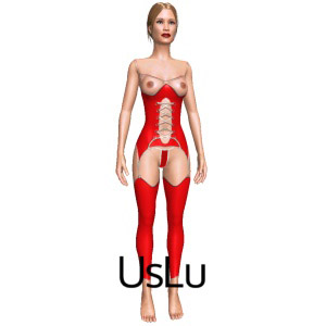 Virtual sex game Gifts 1 Costume set, From UsLu