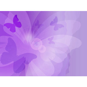 Purple butterflies