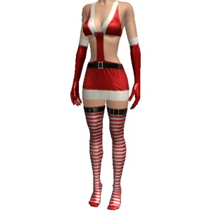 Sexy Christmas costume