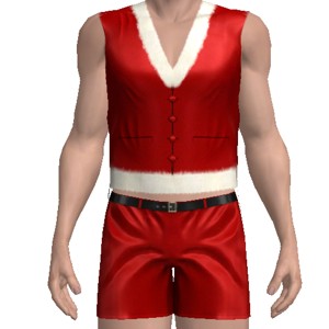 Sexy Christmas costume