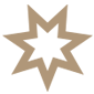 icon star small