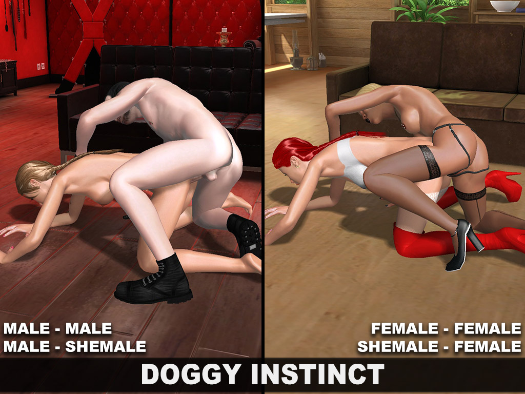 AChat Update #1432: Doggy instinct homo shemale lesbian
